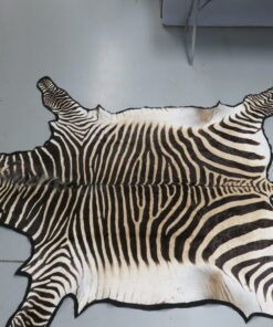 Zebra Rug​