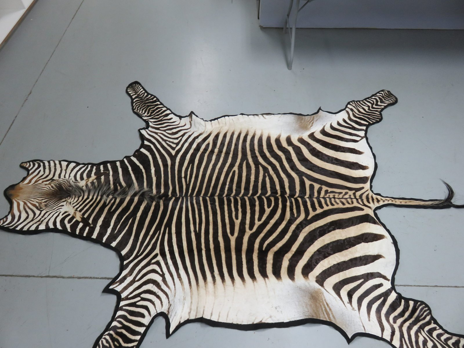 Zebra Rug