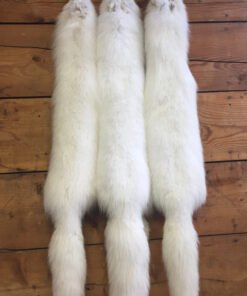 Arctic Fox Fur