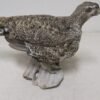 Sage Grouse – Life Size Standing Mount