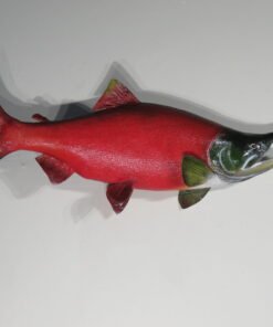 Sockeye Salmon Life Sized