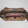 Steelhead Taxidermy Mount