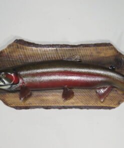 Steelhead Taxidermy Mount