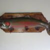 Steelhead 39″ Fish Mount