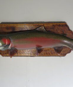 Steelhead 39″ Fish Mount