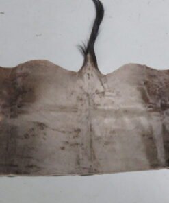 Blue Wildebeest Tanned Back Hide