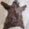 Black Bear Rug