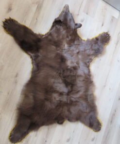 Black Bear Rug