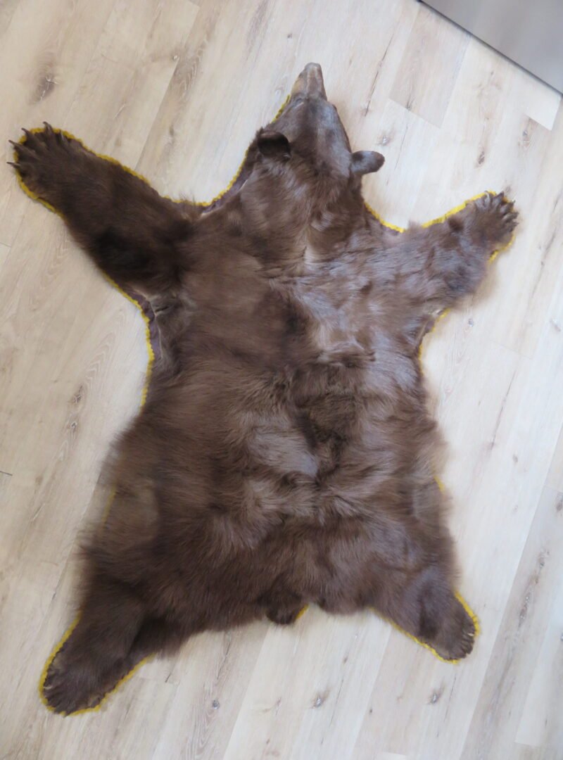 Black Bear Rug