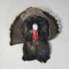 Turkey Mounts For Sale