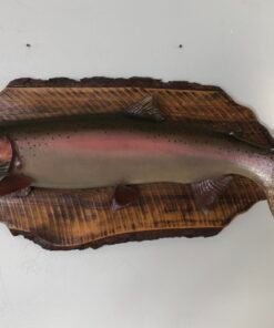 Steelhead Taxidermy Fish