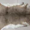 Whitetail Tanned Taxidermy Hide