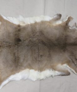 Whitetail Tanned Taxidermy Hide