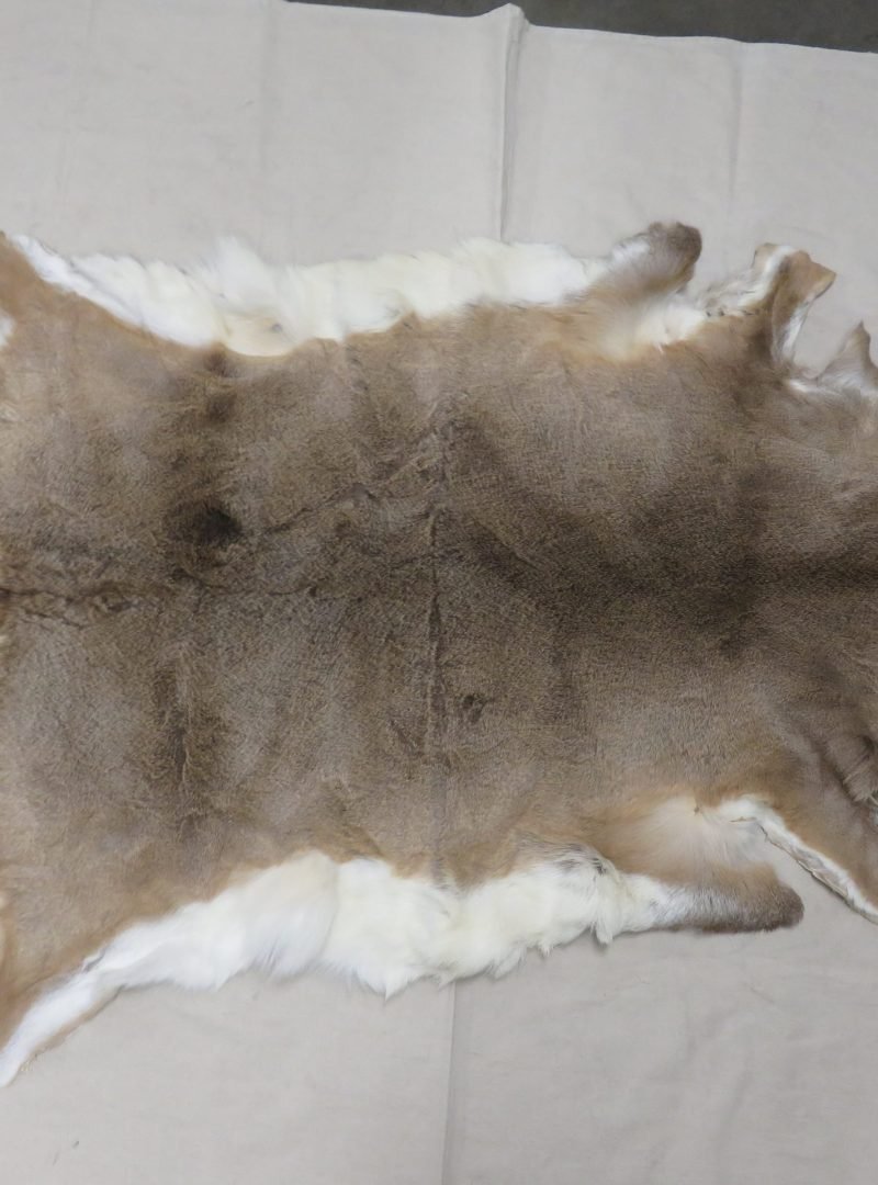 Whitetail Tanned Taxidermy Hide