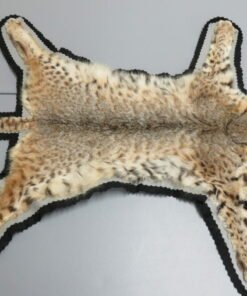 Bobcat Taxidermy Rug