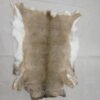 Whitetail Taxidermy Skin