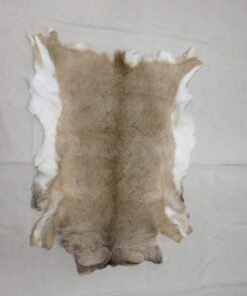 Whitetail Taxidermy Skin