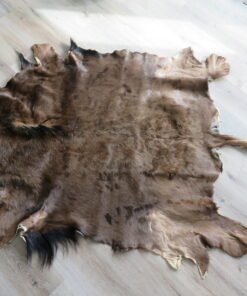 Wildebeest Hide/Skin