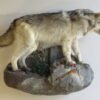 Wolf On Terrain Base Taxidermy