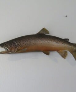 Brown Trout RealSkin
