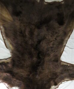 Brown Bear Taxidermy Rug