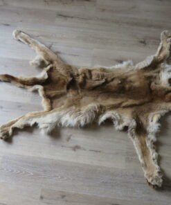 Cougar Skin Tanned Hide