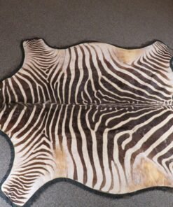 Zebra Rug For Sale