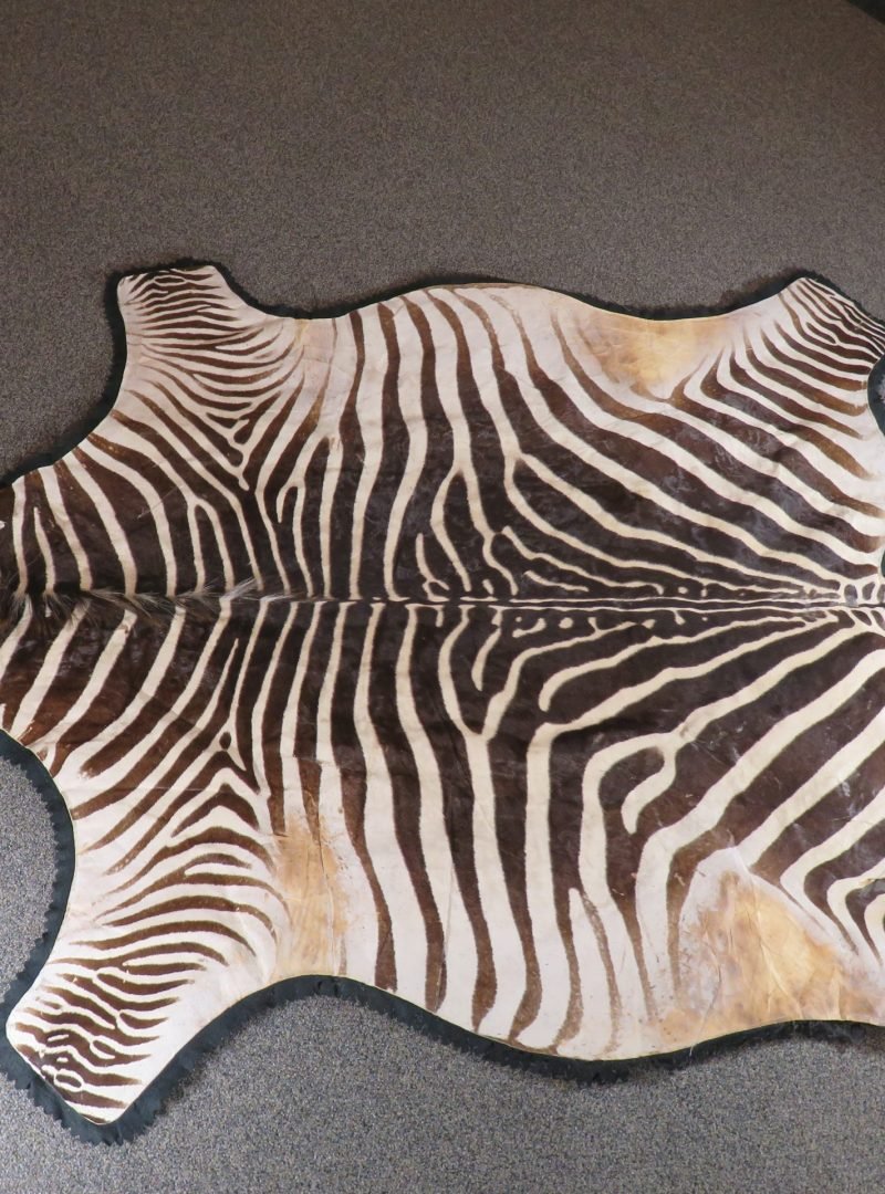 Zebra Rug For Sale
