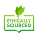 Taxidermy Animals For Sale