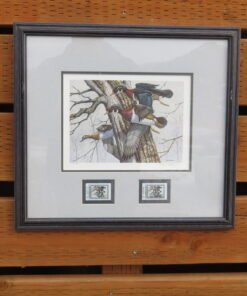 Ducks Unlimited L/E Print Artwork by Craig Phillips. A-131DU