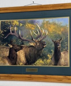 “Ivory Challenge” Framed Print for Sale. Artist Hayden Lambson.
